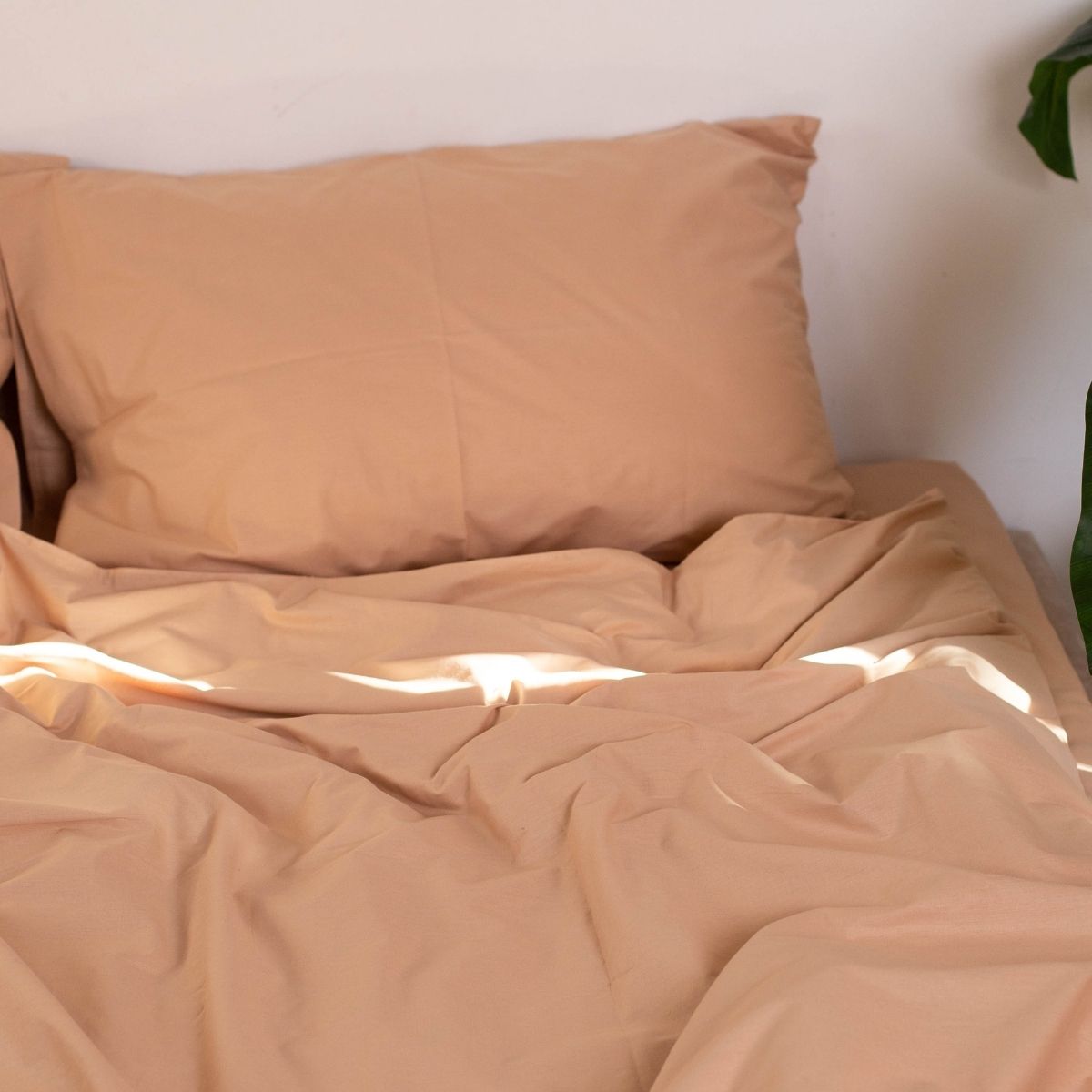 Простирадло на резинці Поплін El Matador Moona