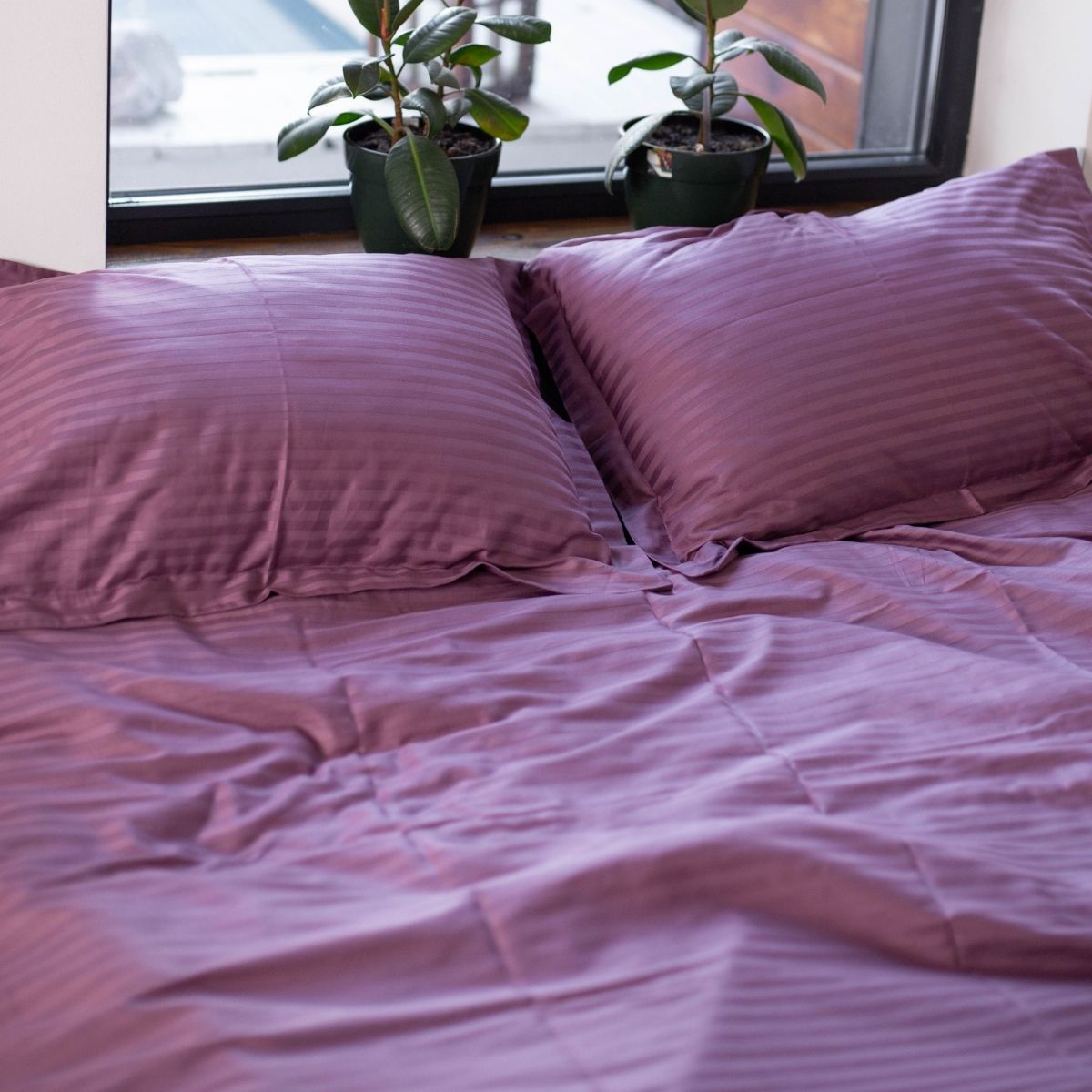 Комплект постільної білизни Страйп Сатин Provence Moona