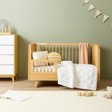 Детское одеяло из лебяжьего пуха демисезонное - Baby Swan Light