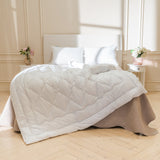 Одеяло из лебяжего пуха демисезонное - Swan Premium Light