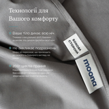 Комплект постільної білизни Поплін Grey
